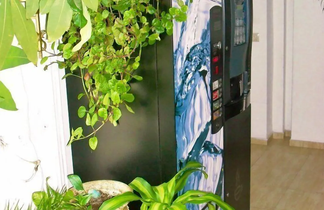 Hostal Cassa-1