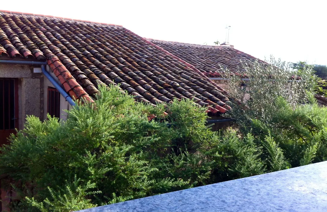 Hostal Leon-1