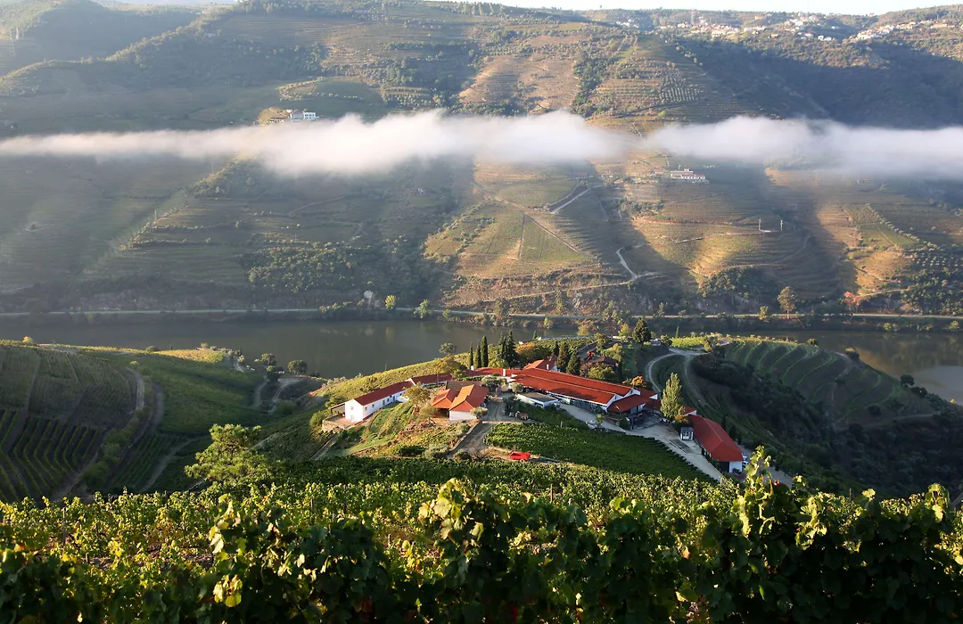 Quinta Nova Winery House - Relais & Chateaux-1