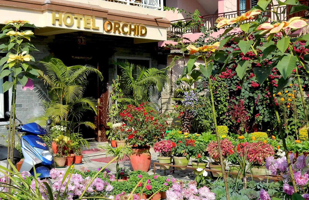 Hotel Orchid-1