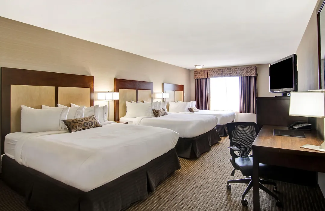 Canalta Hotel Esterhazy-1