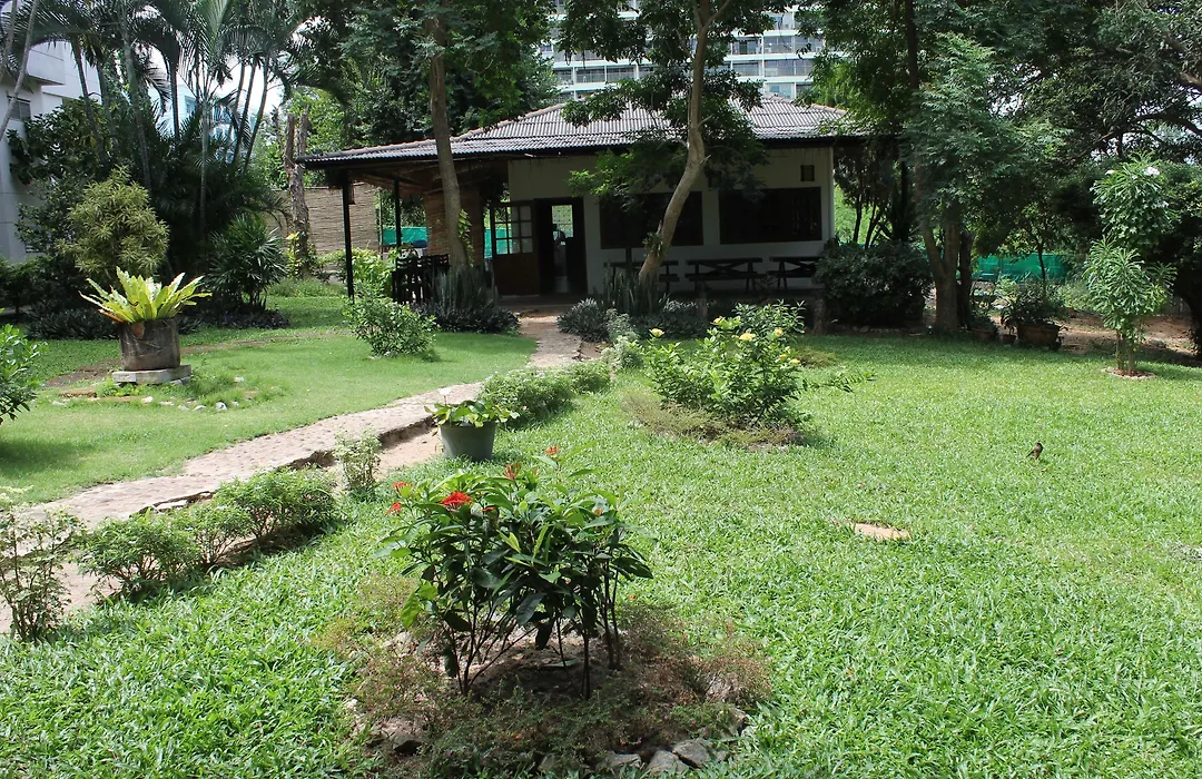 Hillside Resort-1