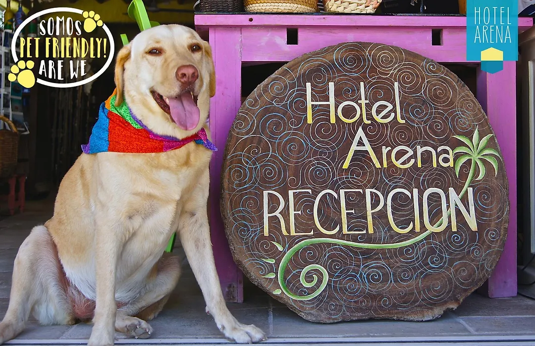 Hotel Arena-1