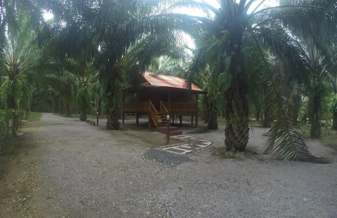 Khao Sok Palmview Resort-1