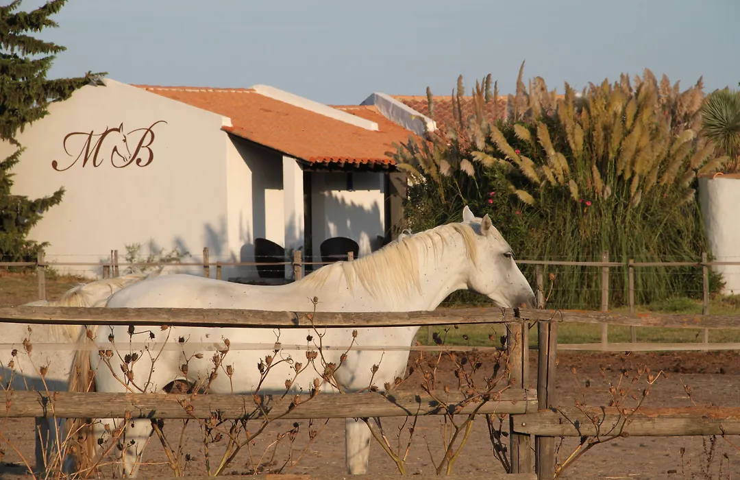 Hotel Mas Des Barres-1