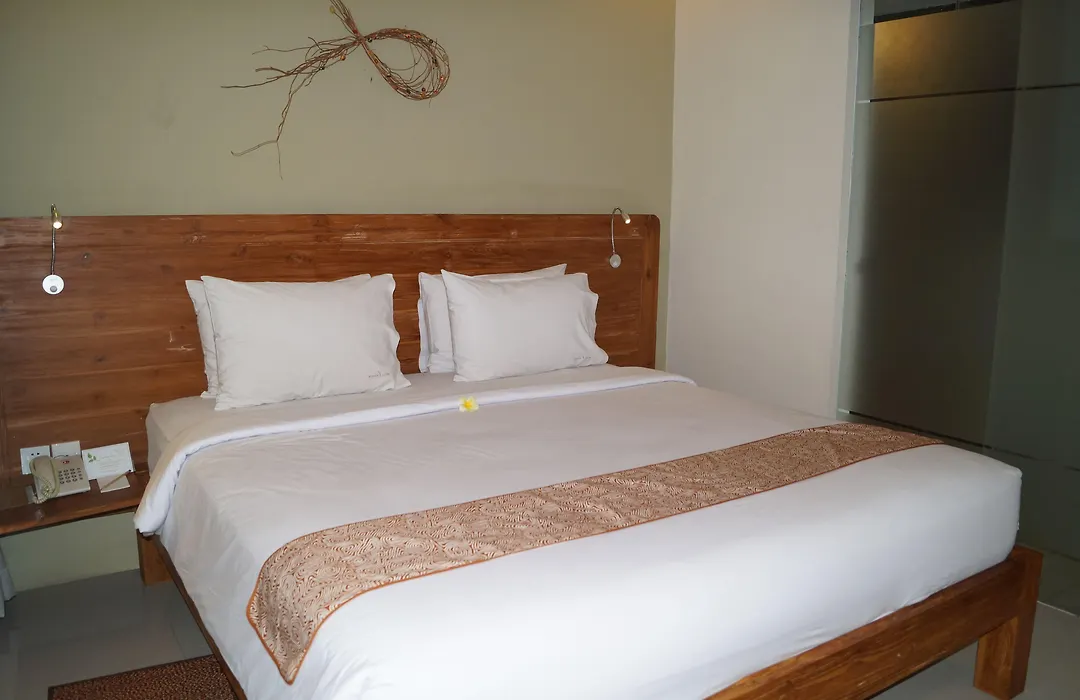 Arana Suite-1