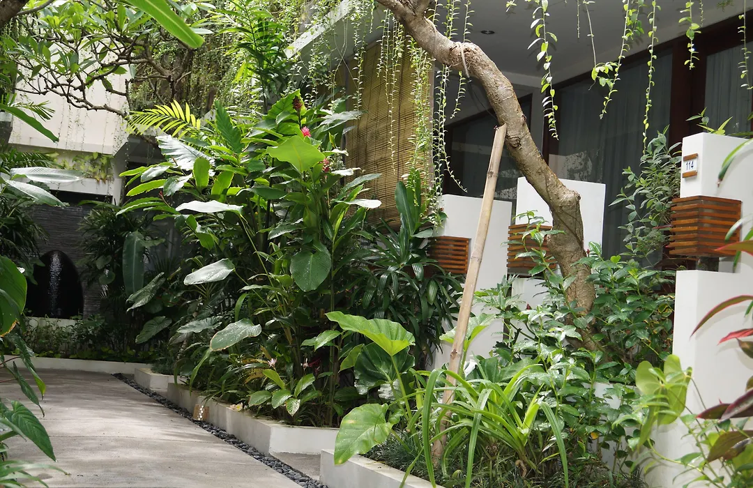 Arana Suite-1