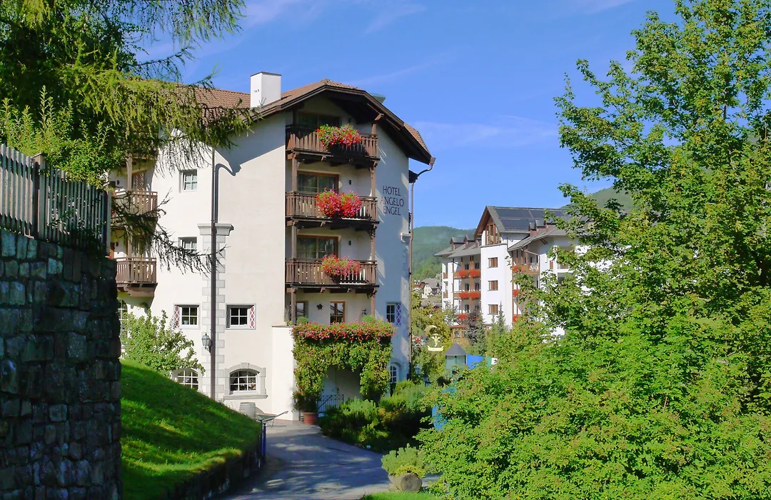 Hotel Angelo Engel-1