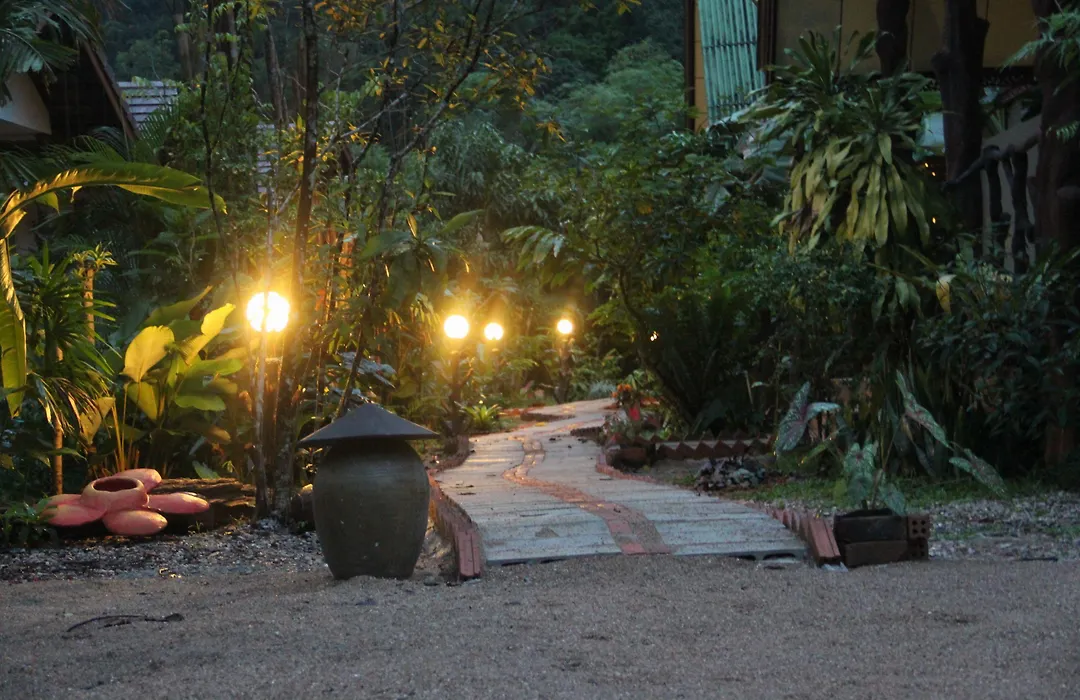 Khao Sok Green Valley Resort - Sha Certified-1