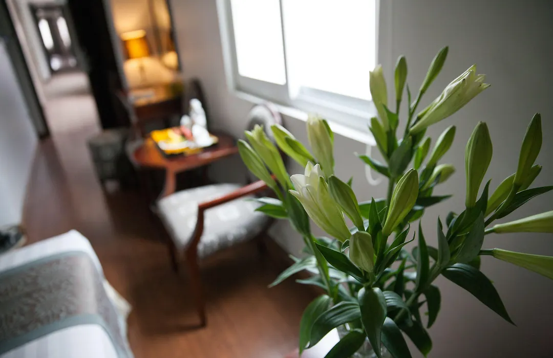 Dragon Pearl Hotel Hanoi-1