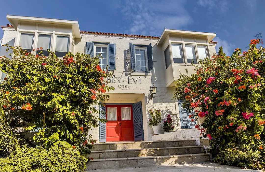 Beyevi Alaçatı-1