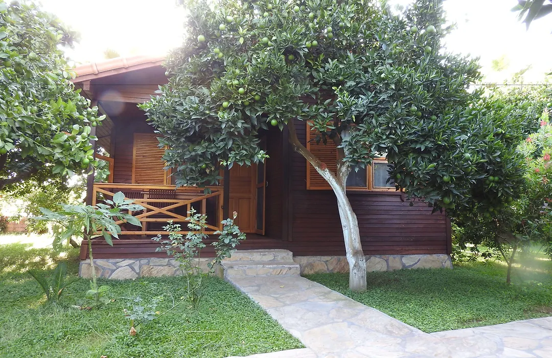 Mercan Bungalow-1