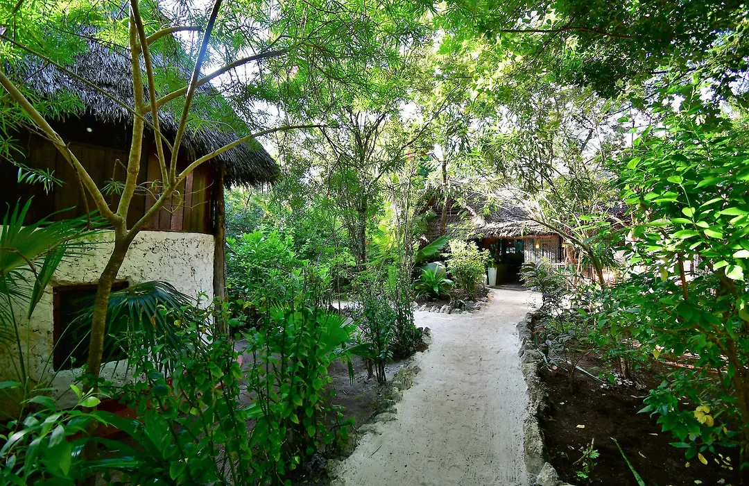 Bellevue Zanzibar-1
