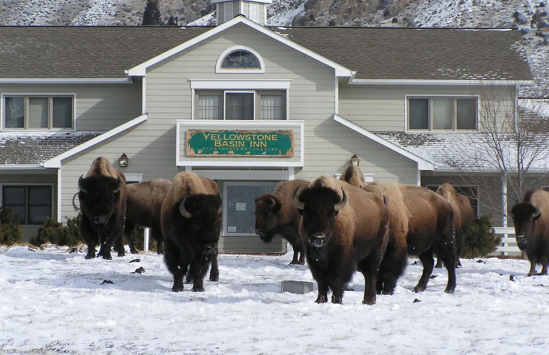 Yellowstone Basin Inn-1