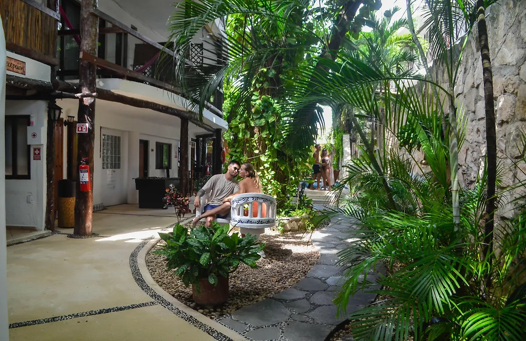 Siesta Fiesta Hotel - 5Th Avenue (Adults Only)-1