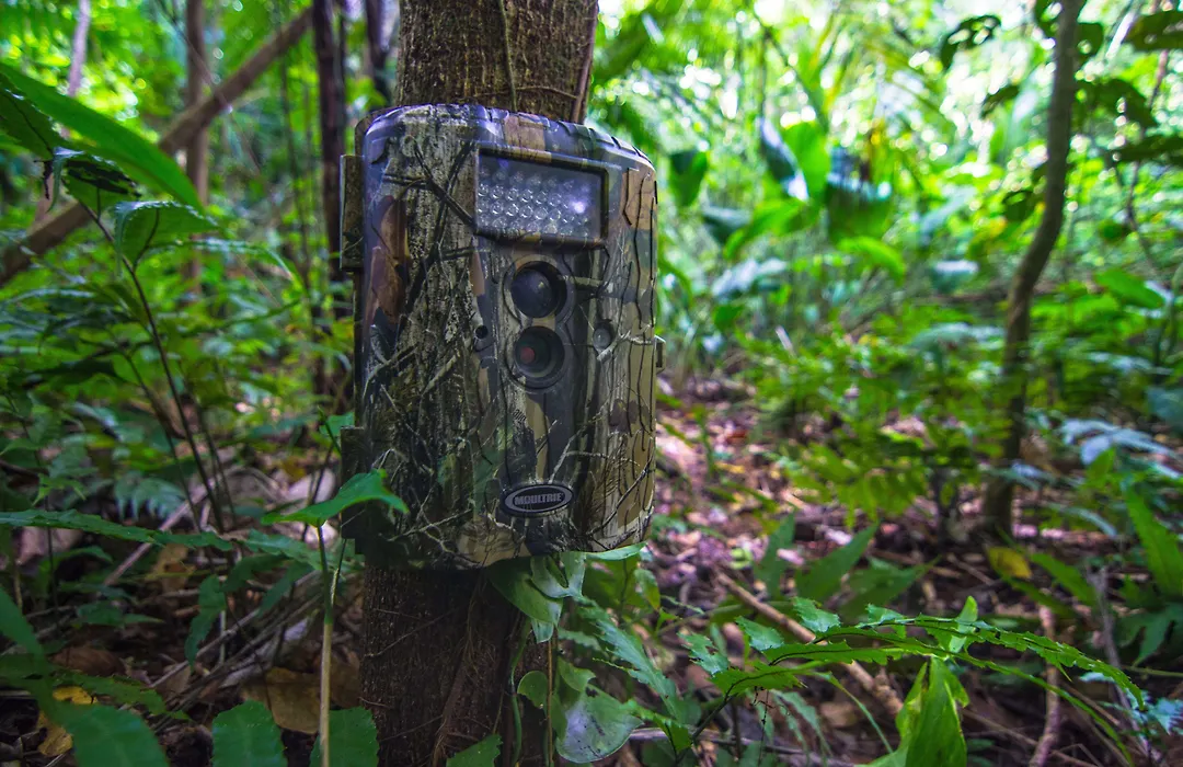 Bocawina Rainforest Resort-1