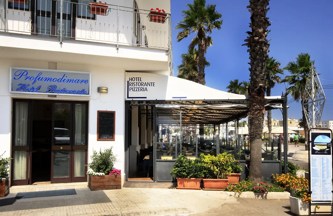 Hotel Profumo Di Mare-1