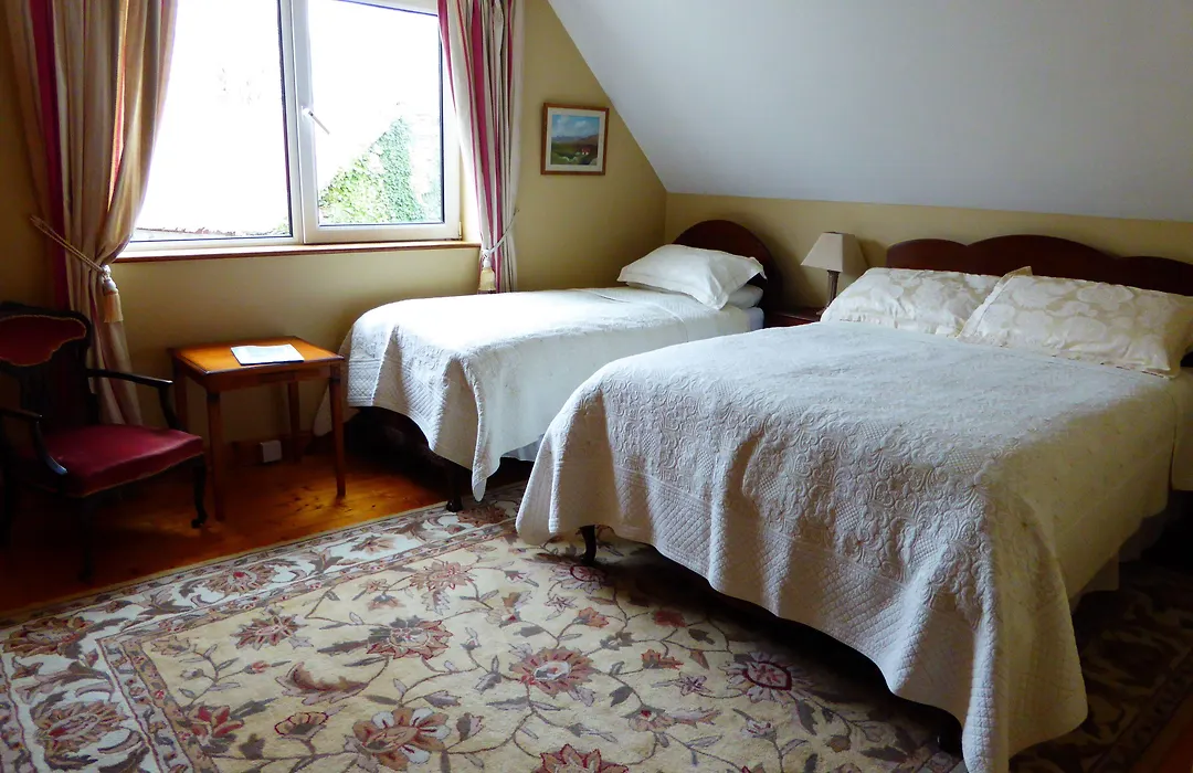 Camillaun Lodge With Lough Corrib Boat Hire-1