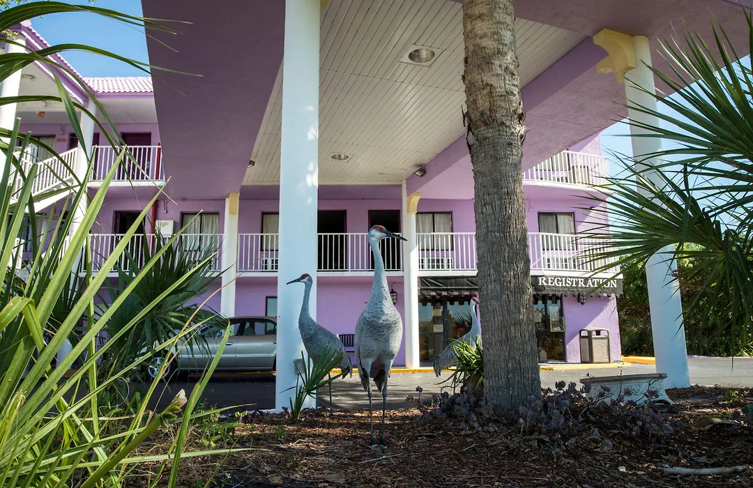 Howard Johnson By Wyndham Orlando Lake Buena Vista South-1