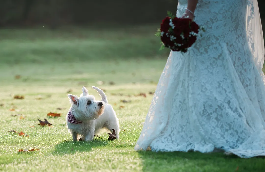 Cantley House Hotel - Wokingham-1
