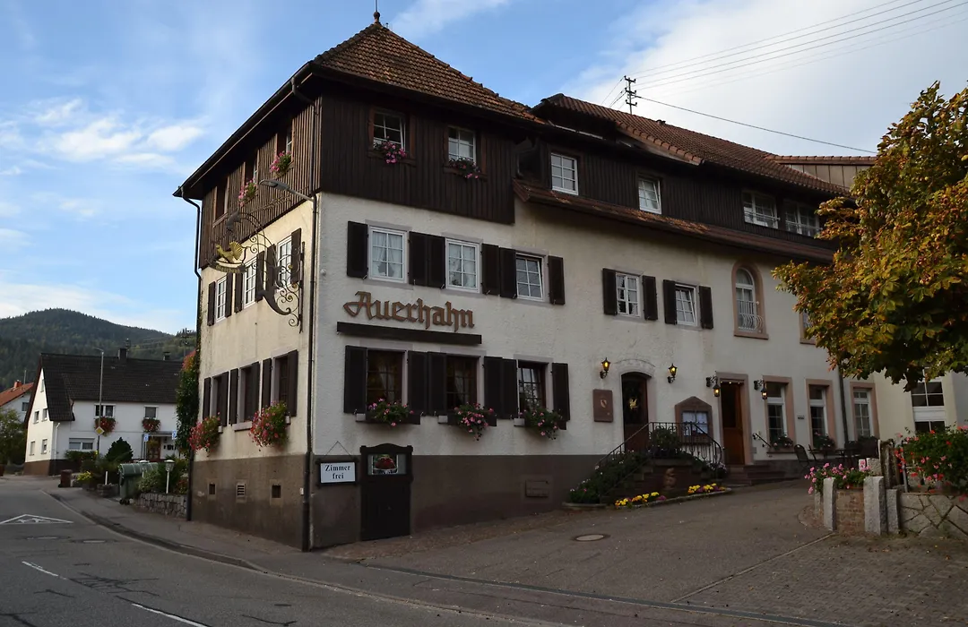 Gasthaus Auerhahn-1