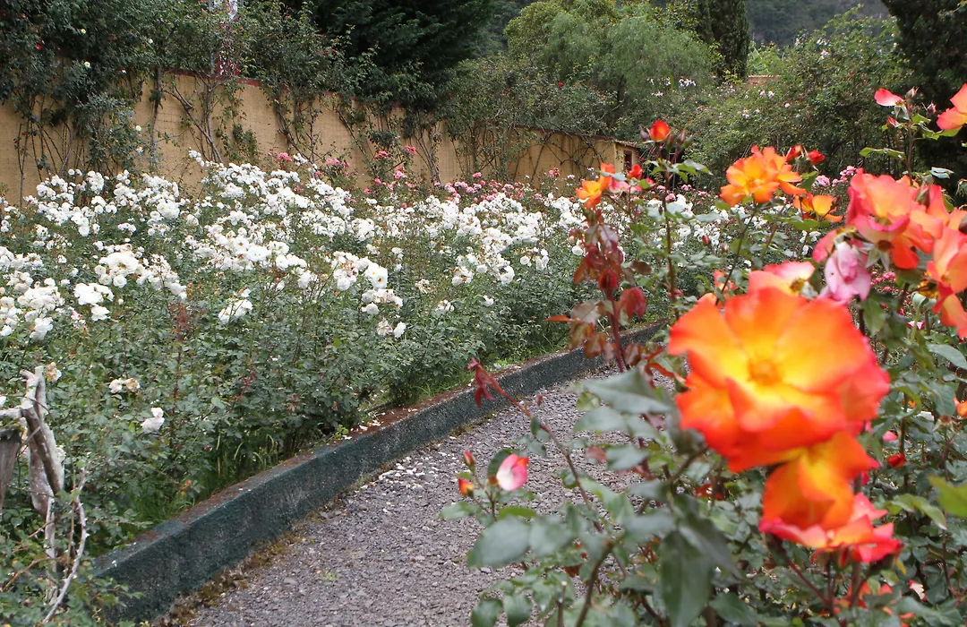 Pestana Quinta Do Arco Nature & Rose Garden Hotel-1