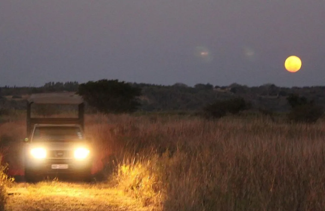 Bonamanzi Game Reserve-1
