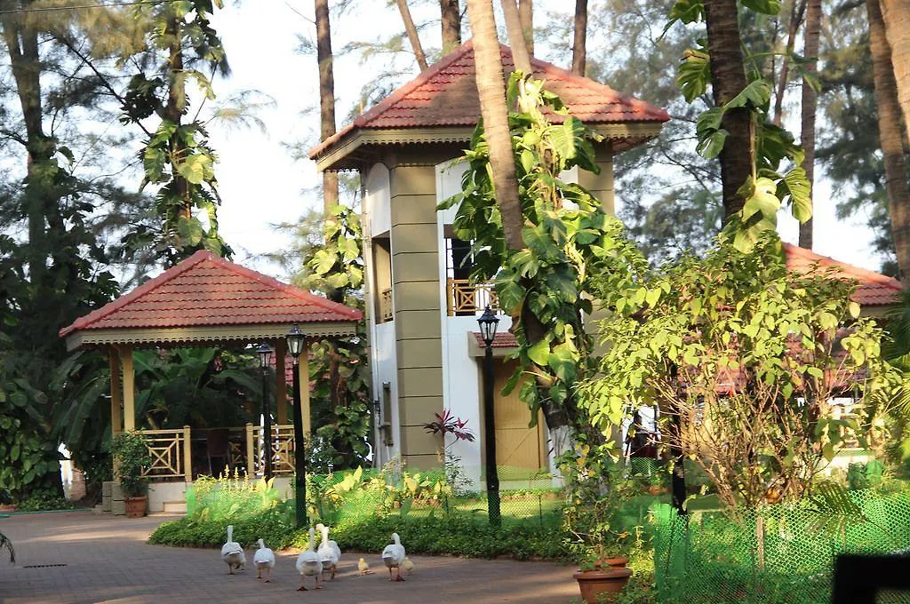 Golden Swan Beach Resort-1