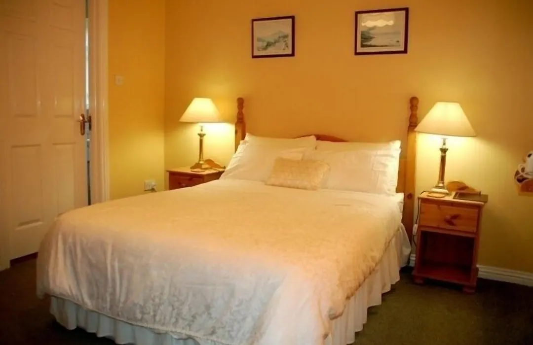 Adare House Bed & Breakfast-1