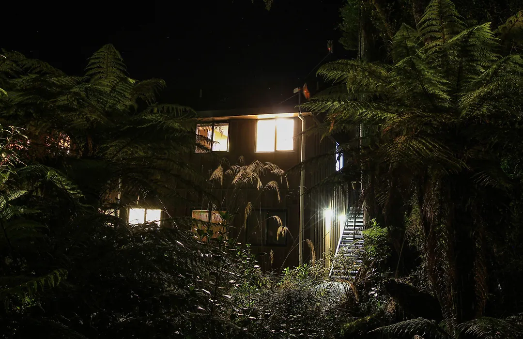 Rainforest Retreat-1