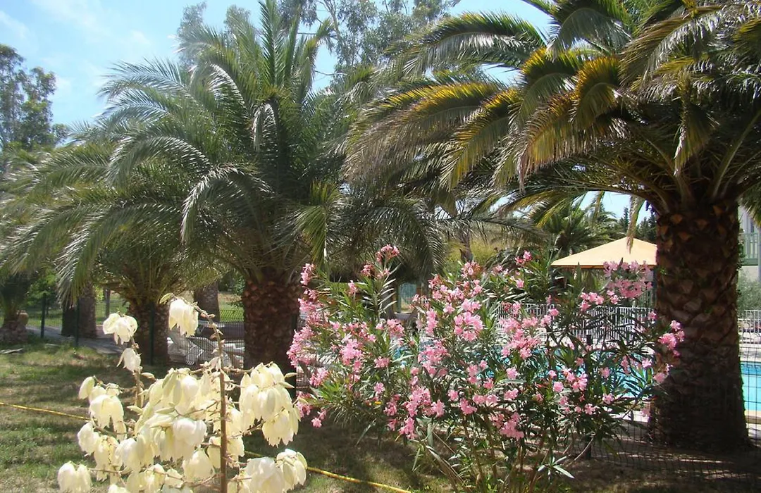 Tropic Hôtel-1