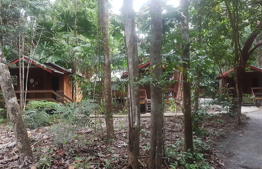 Cape Trib Beach House-1