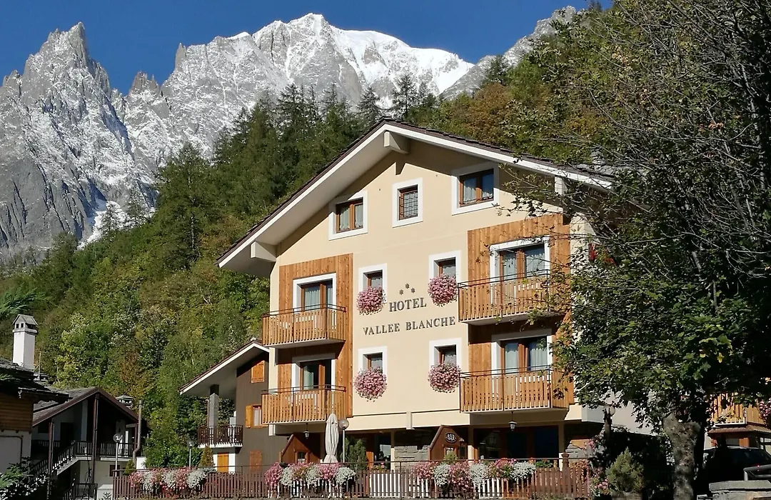 Hotel Vallée Blanche Courmayeur-1