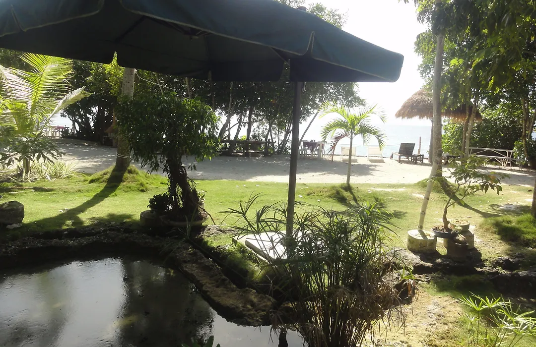 Sea Turtle House Moalboal-1
