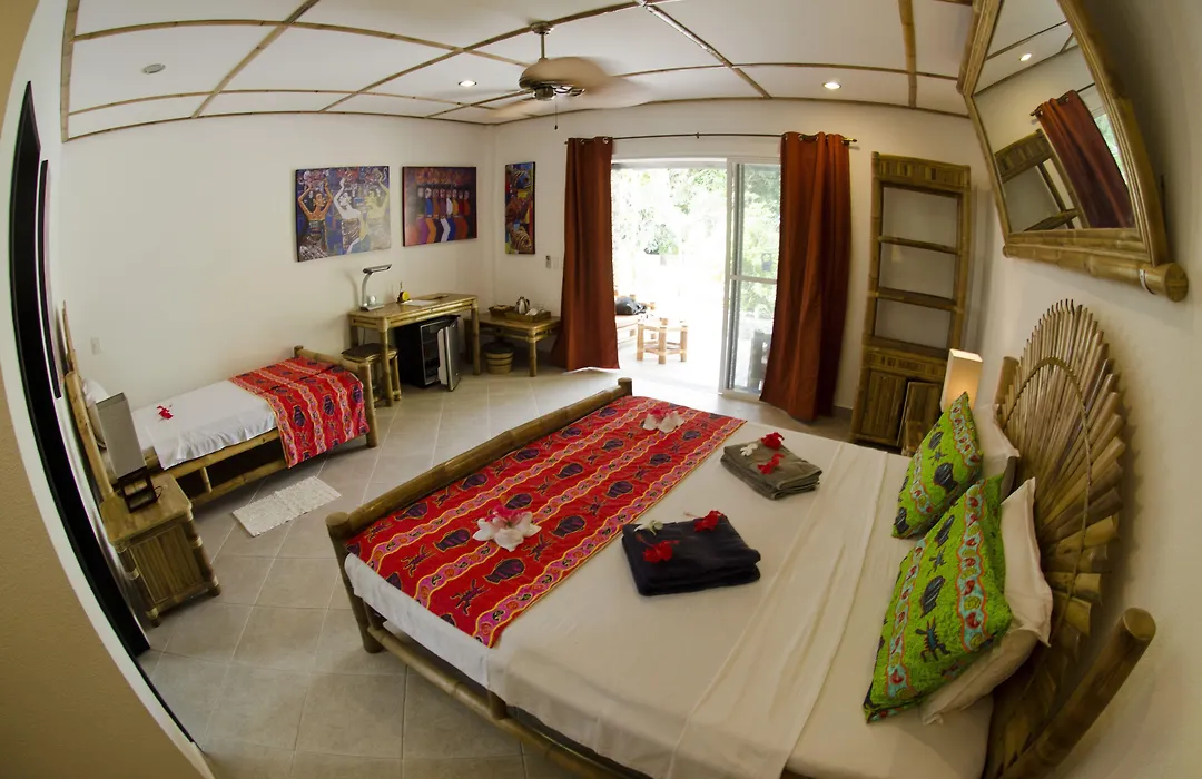 Dolphin House Resort Moalboal-1