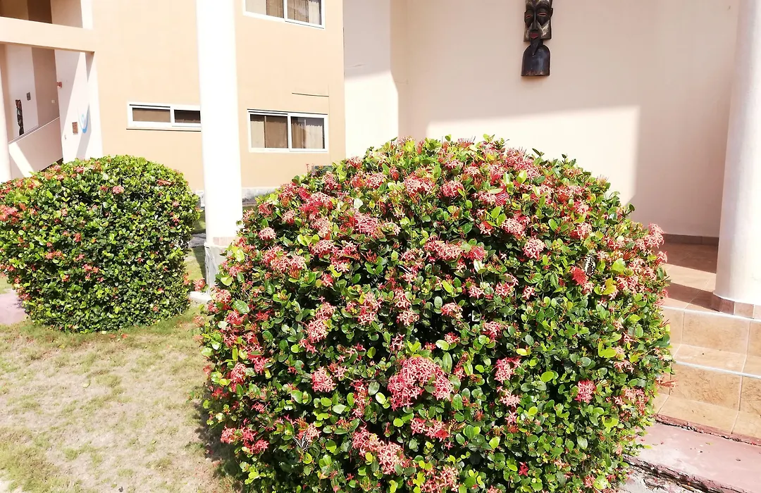 Elmina Bay Resort-1