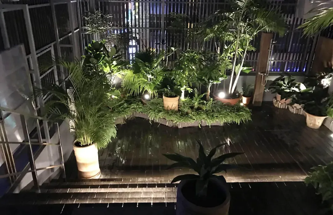The Tree House-1