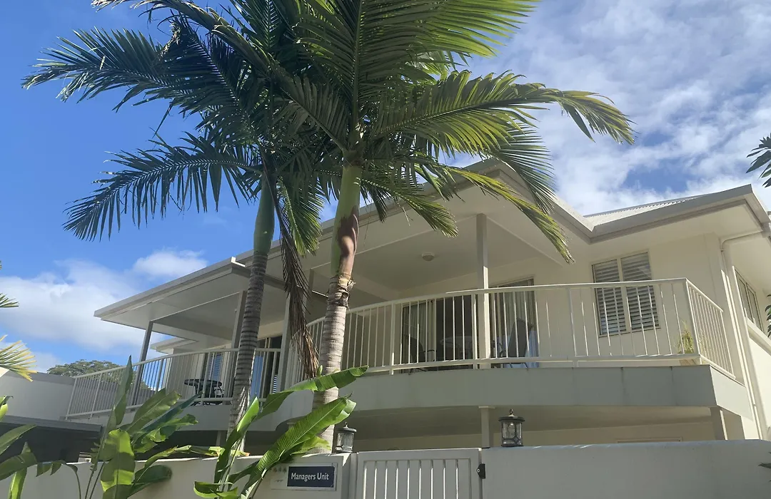 Noosa River Palms-1