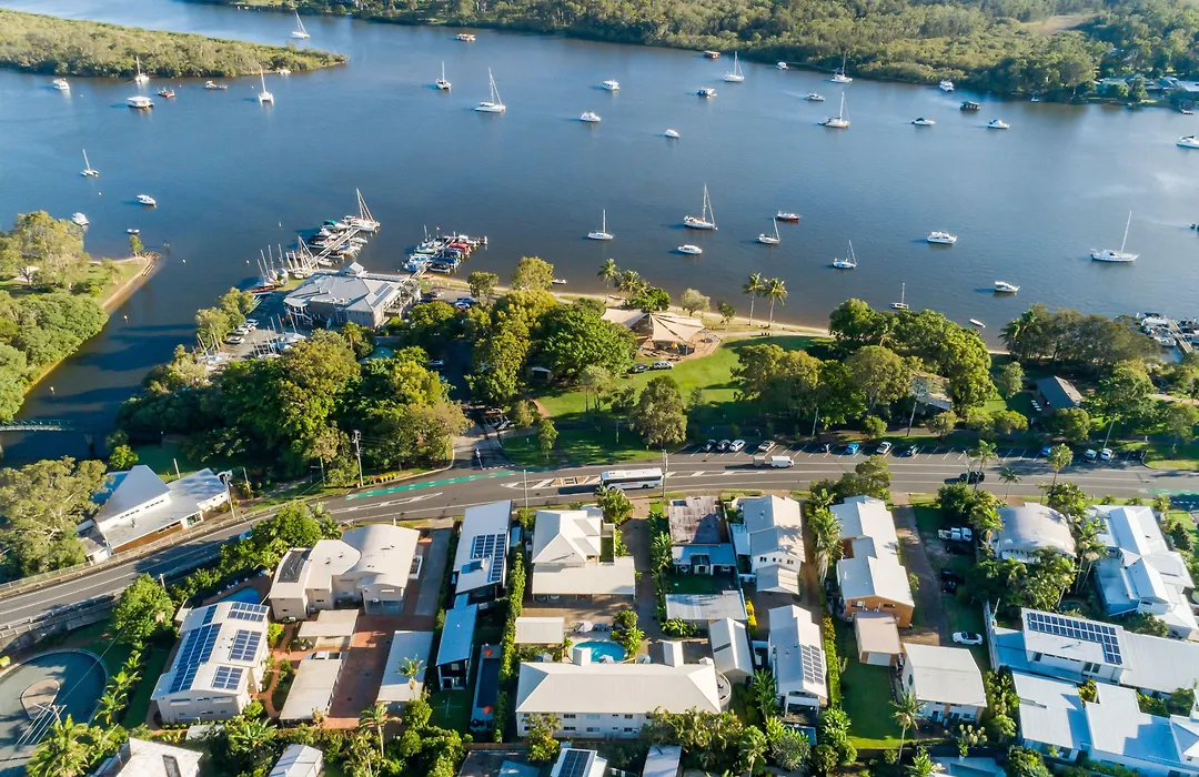 Noosa River Palms-1
