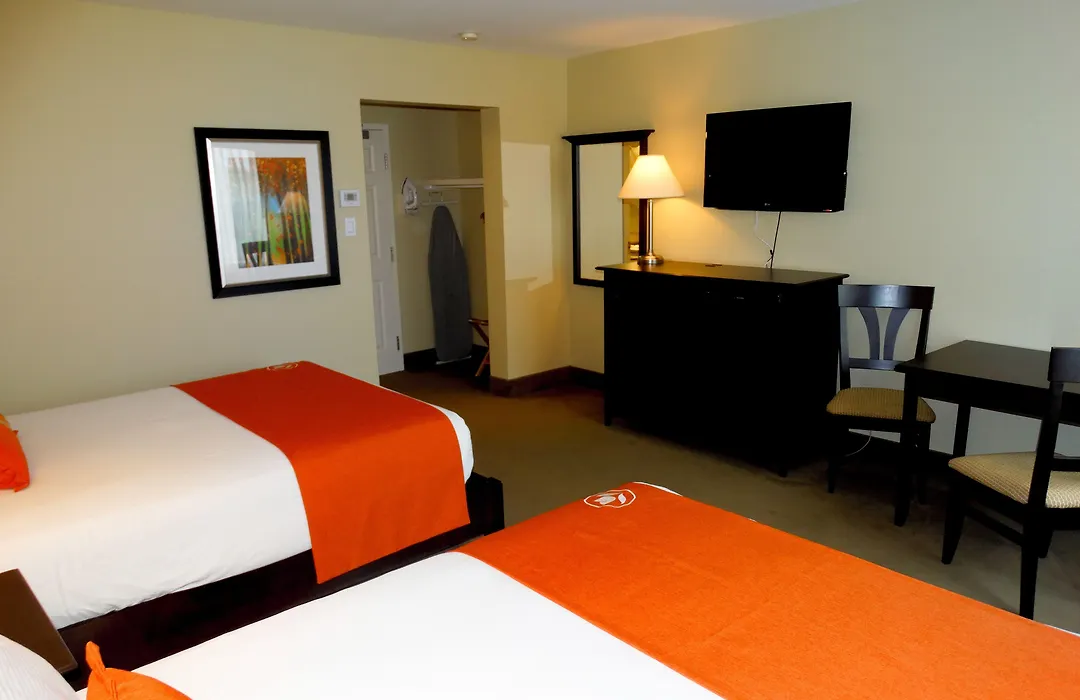 Amsterdam Inn & Suites Sussex-1