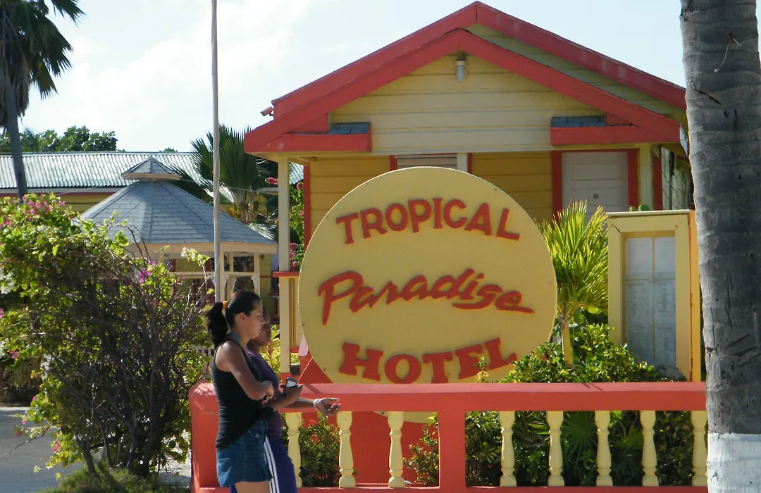 Tropical Paradise-1