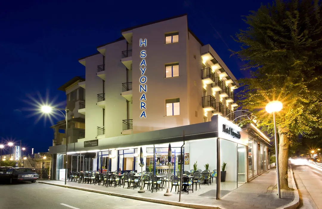 Hotel Sayonara-1