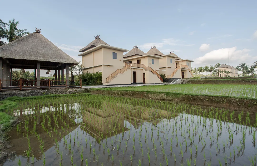 Manyi Village Ubud-1