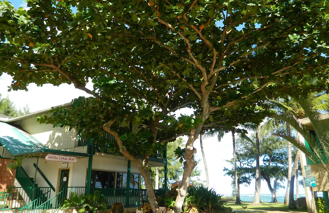 Hotel Coral Reef-1