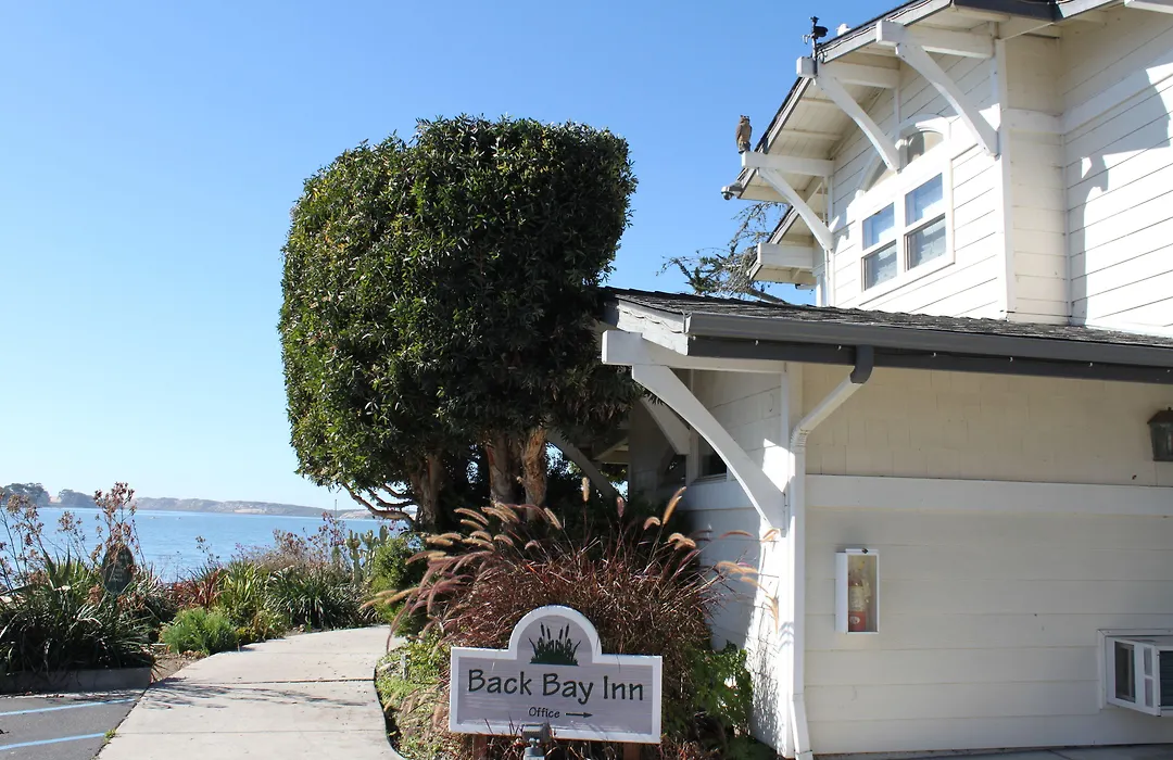 Back Bay Inn-1
