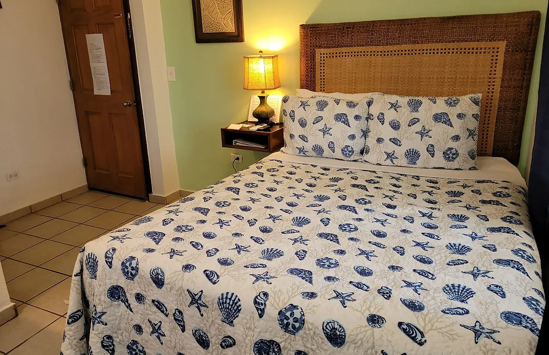 Villa Coral Guesthouse-1