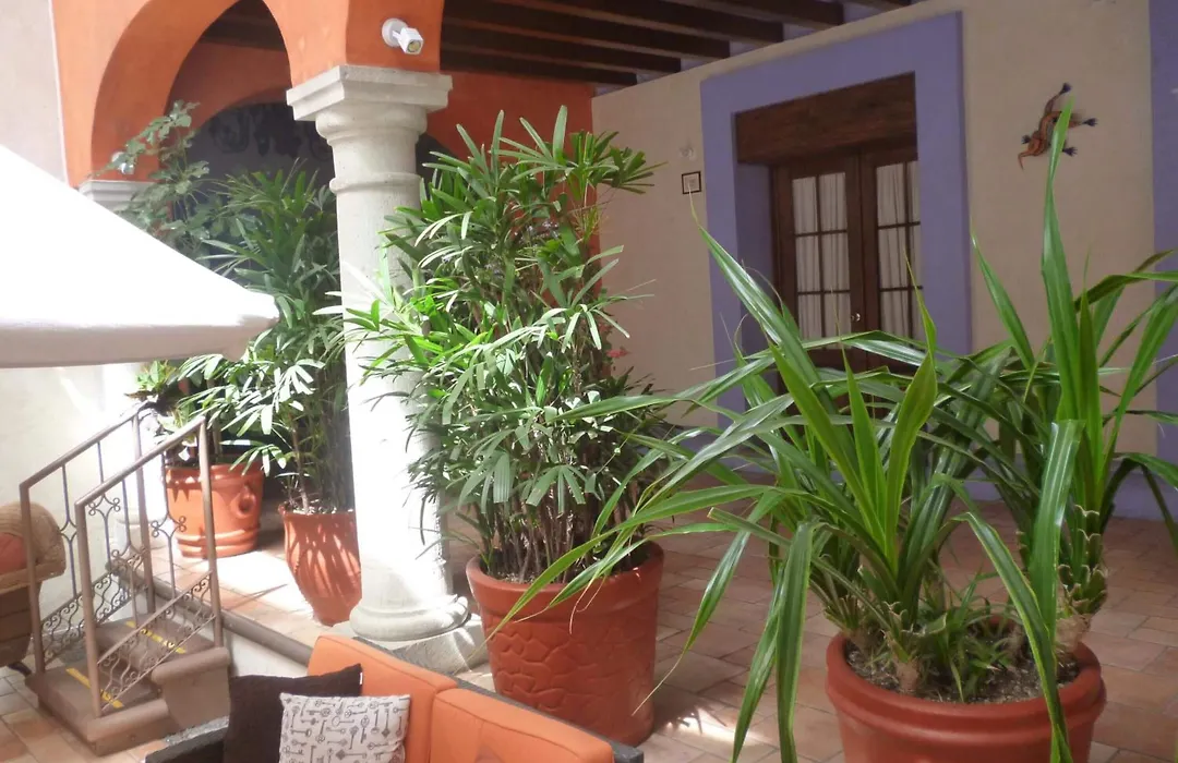 Hotel Trebol-1