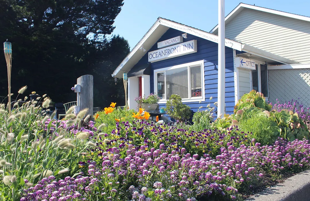The Oceanfront Inn-1