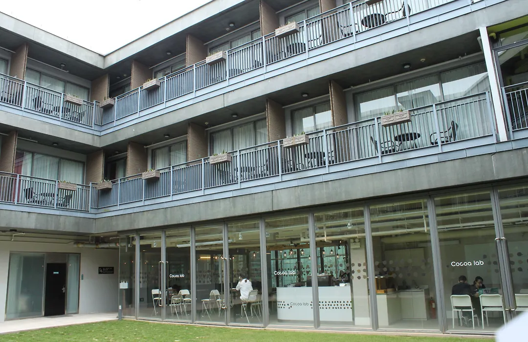 Y Loft-1