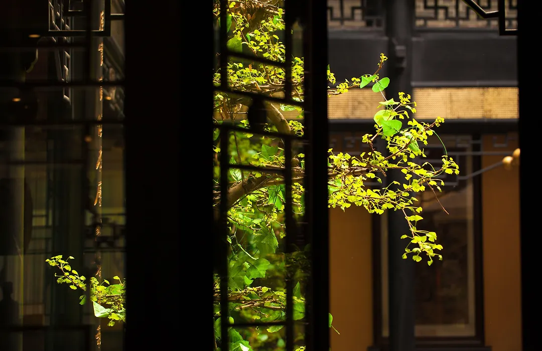 Buddha Zen Hotel-1